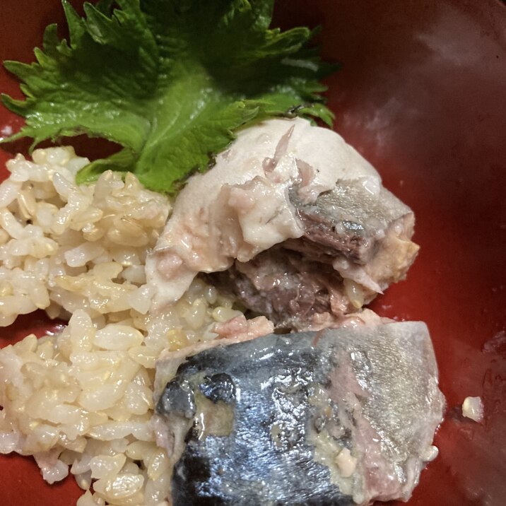 鯖の水煮缶のさっぱり柚子汁玄米ご飯！